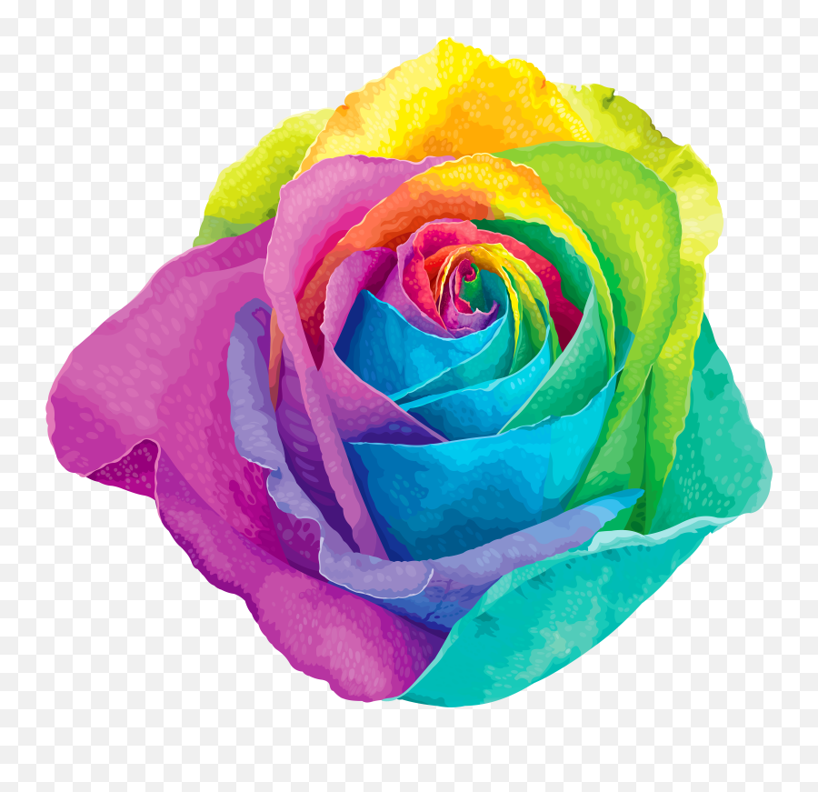 Multicolored Rainbow Rose Transparent Png Clip Art Image - Rainbow Flower Png,Rainbow Transparent