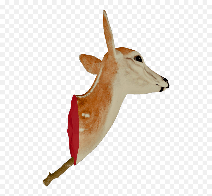 Head Trophy - Deer Png,Animal Head Png