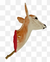Head Trophy - Deer png