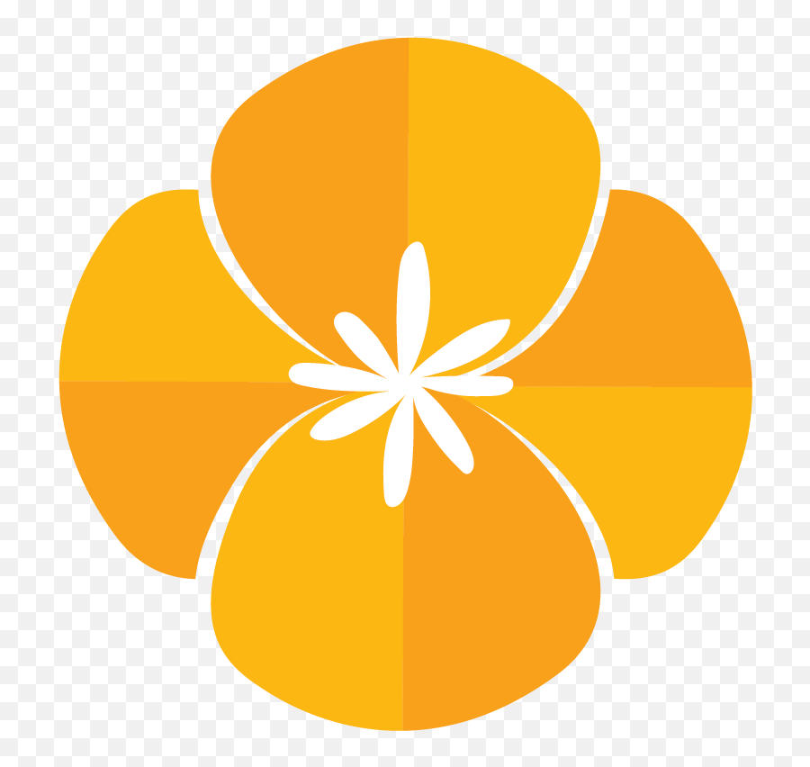 Poppy Social Media - Transparent California Poppy Png Orange,Fb Live Icon