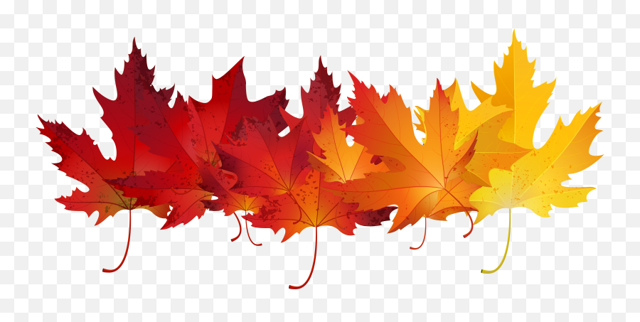Autumn Leaf Color Clip Art - Autumn Leaves Transparent Background Png,Fall Leaf Transparent