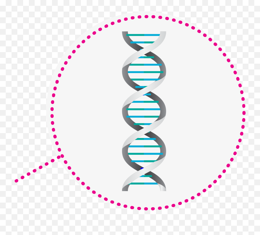 What You Need To Know About Testing For Tumor Mutations In Png Dna Icon No Background