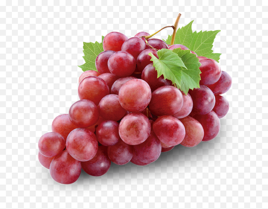 Download Grapes Transparent Flame - Red Grapes Png Image Grapes Red Globe,Grapes Png