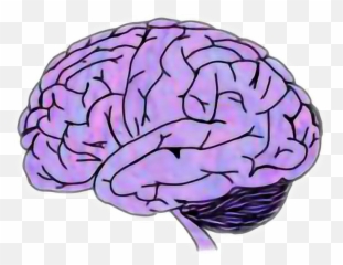 Wall Decal Blue Brain Project Sticker - Clipart Transparent Background png
