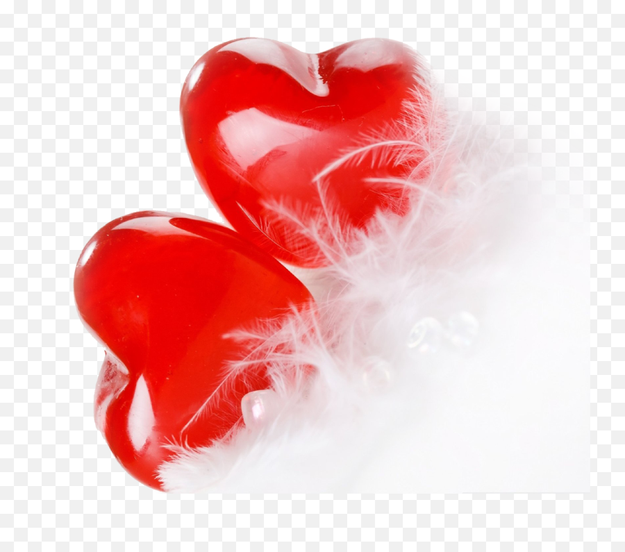 Love Background Images - Love Background Png,Rose Heart Png