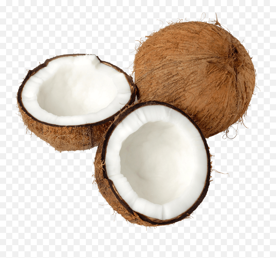 Coconut Trio Open Transparent Png - Coconut Free Png,Coconut Png
