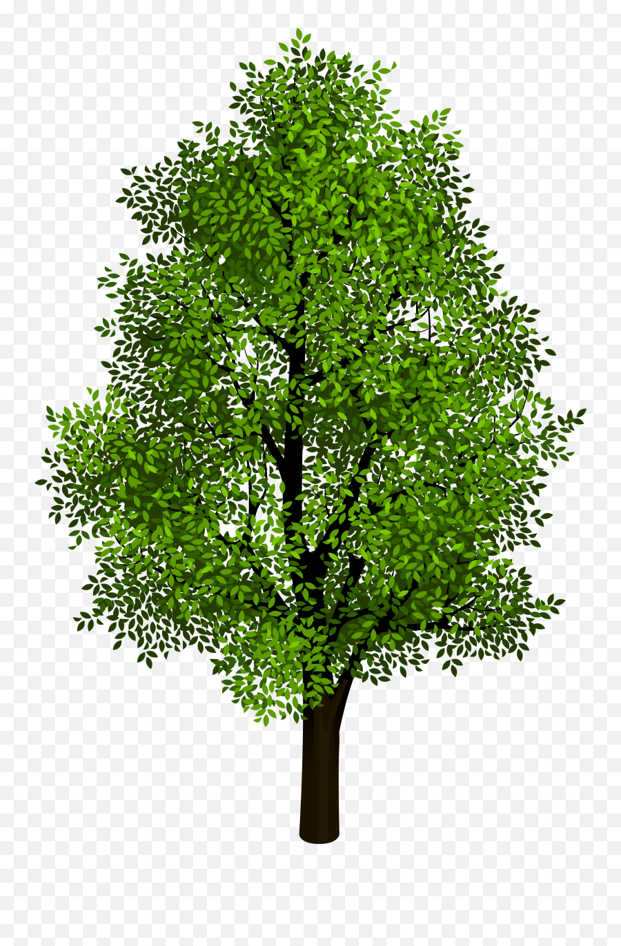 Free Transparent Tree Cliparts - Beautiful Tree Png,Transparent Tree Images