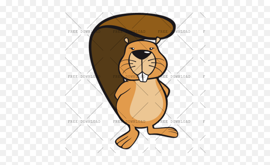 Beaver Png Image With Transparent Background - Photo 384,Groundhog Png