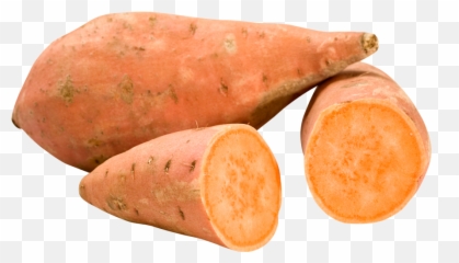 Png Potato Image 38710 - Free Icons And Png Backgrounds Sweet Potato Vs Russet Potato,Potatoes Png