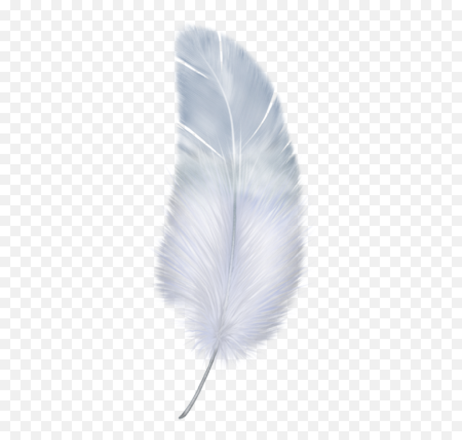 Birdy Feather Png Download Images - Transparent Background White Feather Png,Black Feather Png