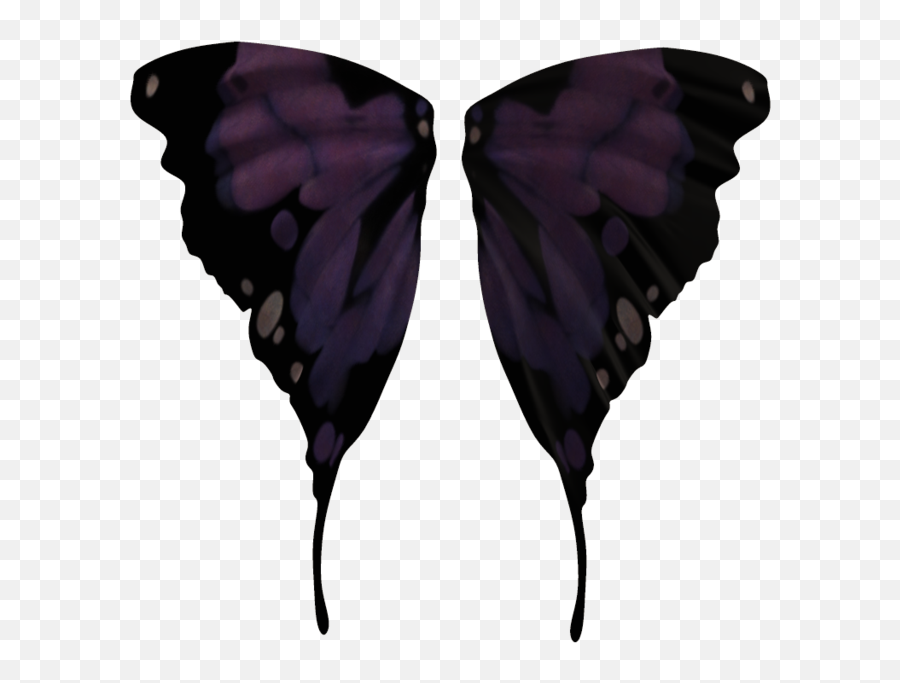 Download Hd Fairy Wings 02 By Wolverine041269 - D5uqj93 Fairy Wings Transparent Png,Fairy Wings Png