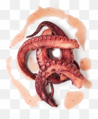 Steamed Octopus Tentacles 450g - Pretzel Png,Tentacles Png