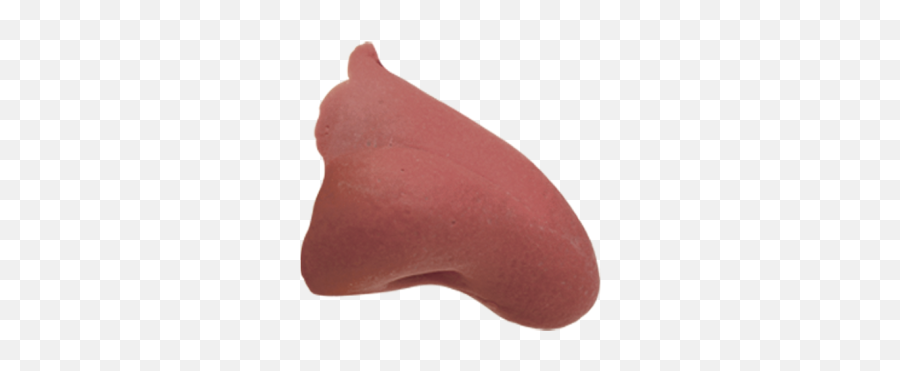 Pinocchio Nose Png 3 Image - Pinocchio Nose Png,Pinocchio Png
