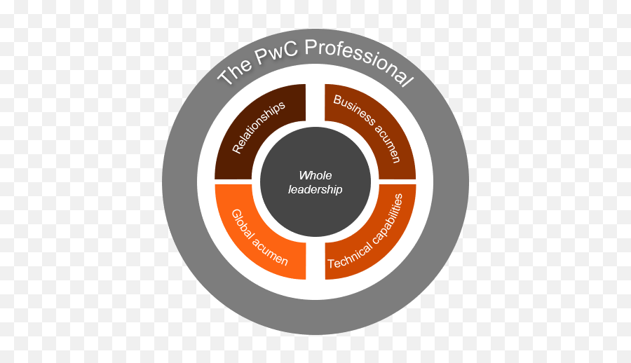 Our Values And Behaviours - Pwc Career Progression Framework Png,Pwc Logo Png