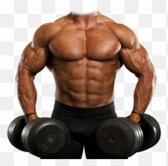 Body Builder Photo Suit - Bodybuilding Transparent png
