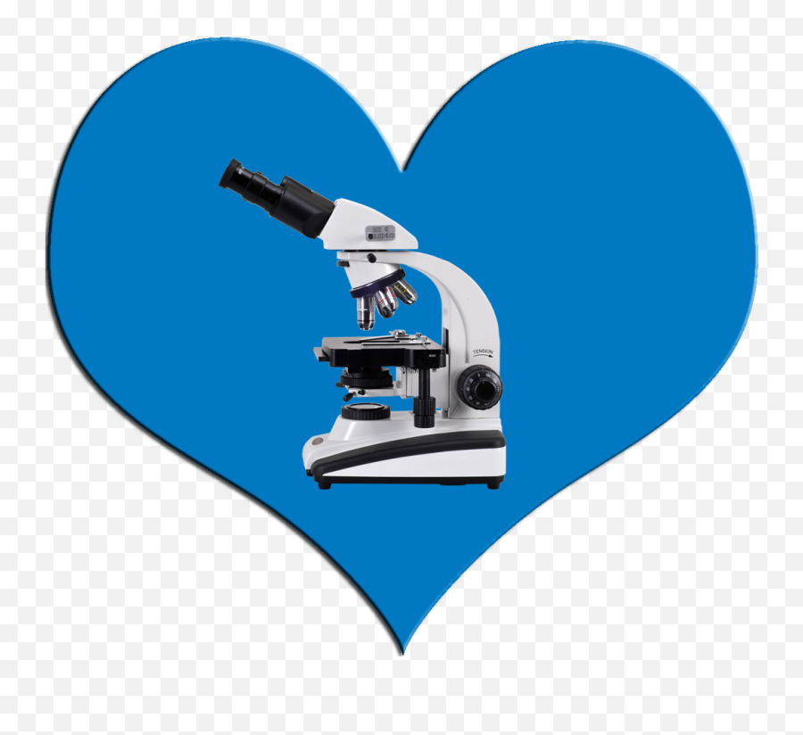 Microscope Clipart Png Download - Microscope,Microscope Png