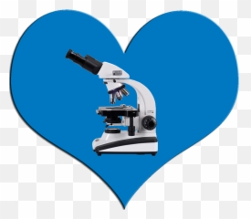 Microscope Clipart Png Download - Microscope,Microscope Png