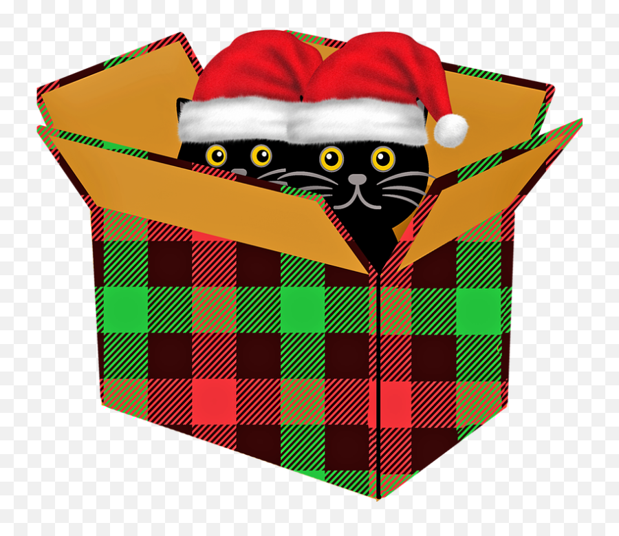 Cat Christmas Gift - Free Image On Pixabay Clip Art Png,Christmas Bow Transparent