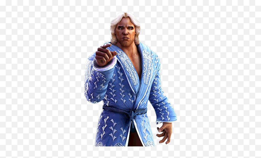 Leveling Calculator For Ric Flair - Ric Flairs Robes Png,Ric Flair Png