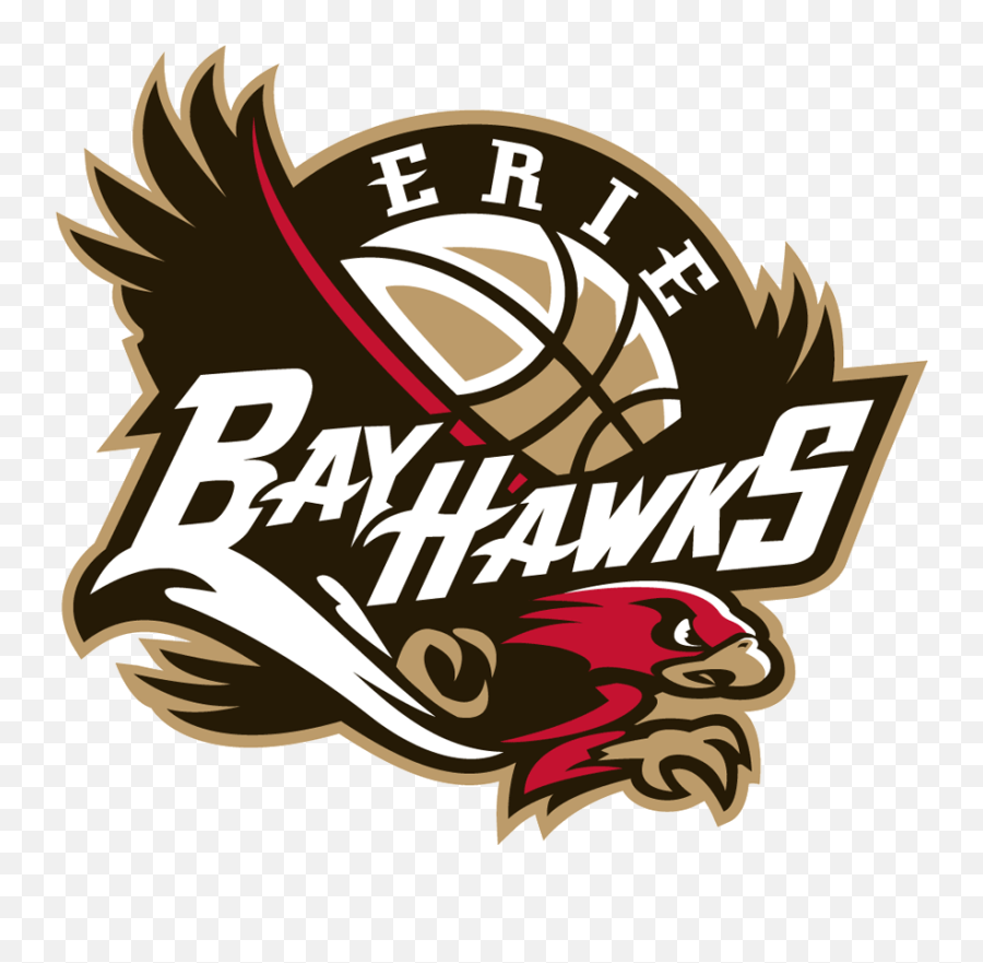 Pin - Erie Bayhawks Logo Png,G League Logo