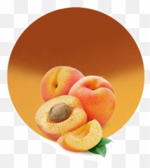 Passion Fruit Filling - Manufacturer U0026 Supplier Apricots Png,Passion Fruit Png