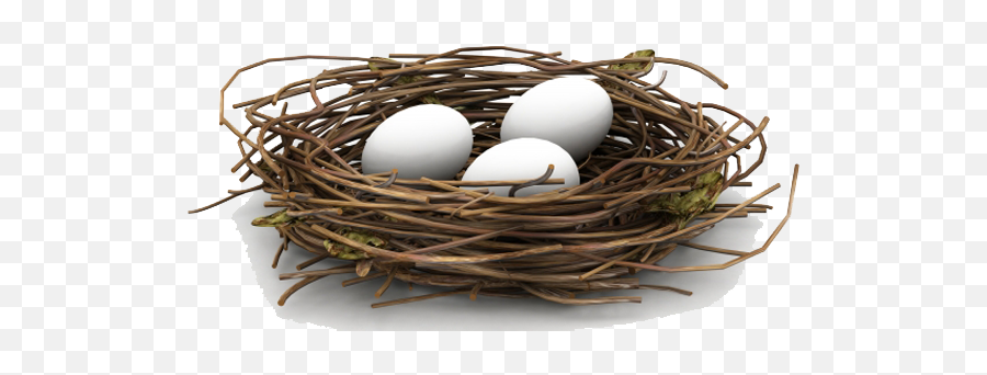 Nest Png Hd - Nest Png,Nest Png