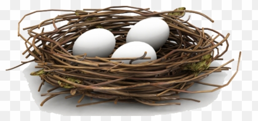 Nest Png Hd - Nest Png,Nest Png