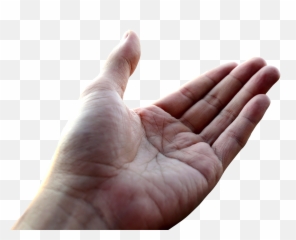 For - kapkan on Tumblr Hand Hd png