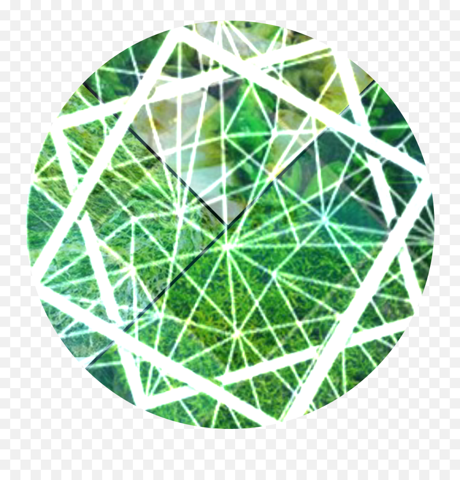 Green Collage Pfp Icon Instagram - Papel De Parede Verde Para Instagram Png,Green Instagram Icon