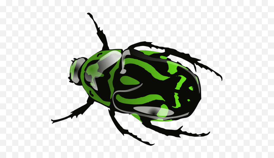 Green Beetle Png Svg Clip Art For Web - Download Clip Art Beetle Pink Insect,Beetle Icon