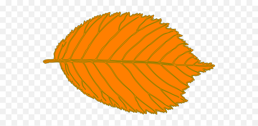 Orange Leaf Brown Border Png Svg Clip Art For Web - Purple Leaves Clipart,Plug With Leaf Icon