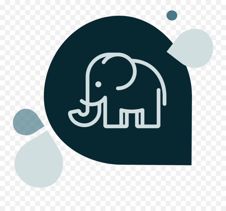 Cheetah Digital For Finserv Marketers - Logo Consulta Provinciale Catania Png,Elephant Tusk Icon
