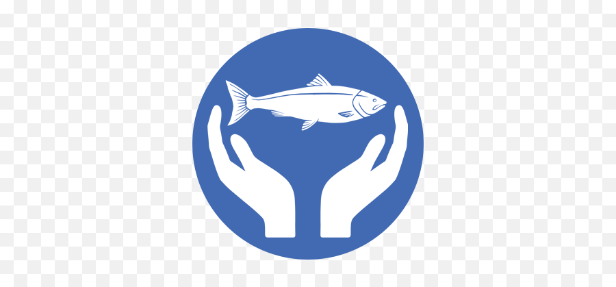 Localcatch - Pull Patch Png,Rockport Icon