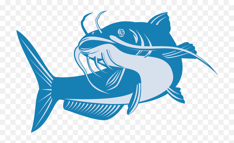 Catfish Clipart Transparent - Catfish Png,Catfish Png