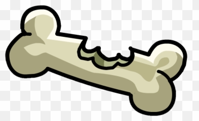 Bone Png Image