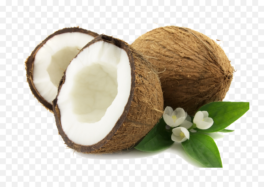 Download Coconut Png - Coconut Png,Coconut Png