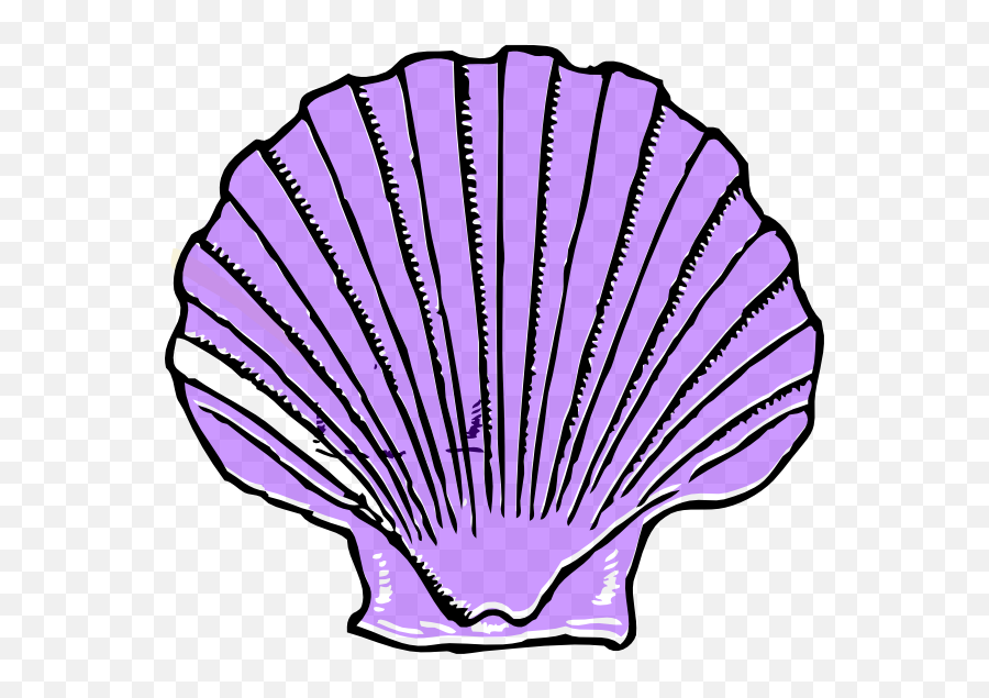 Clam Seashell Clip Art - Shell Png Download 600554 Free Seashells Black And White,Blue Shell Png