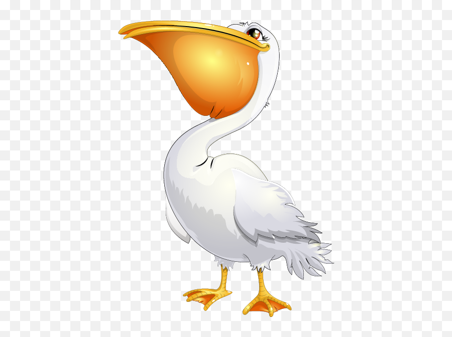 Pelican Png - Pelican Png Cartoon,Pelican Png Pelican Png - Pelican Png Cartoon,Pelican Png