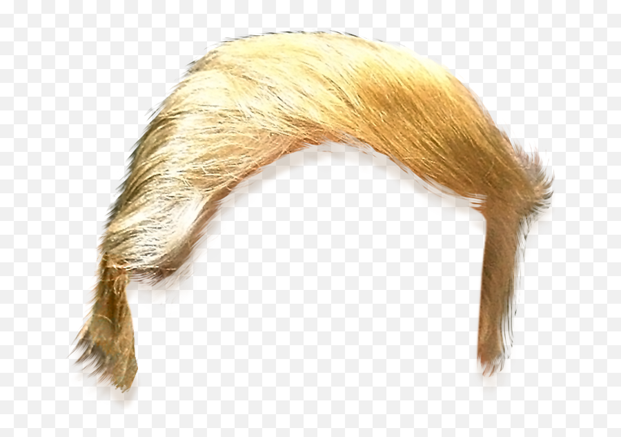 Donald Trump Hair Png Image - Trumps Hair Transparent,Donald Trump Hair Png