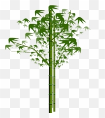 Download Bamboo Png Image With Transparent