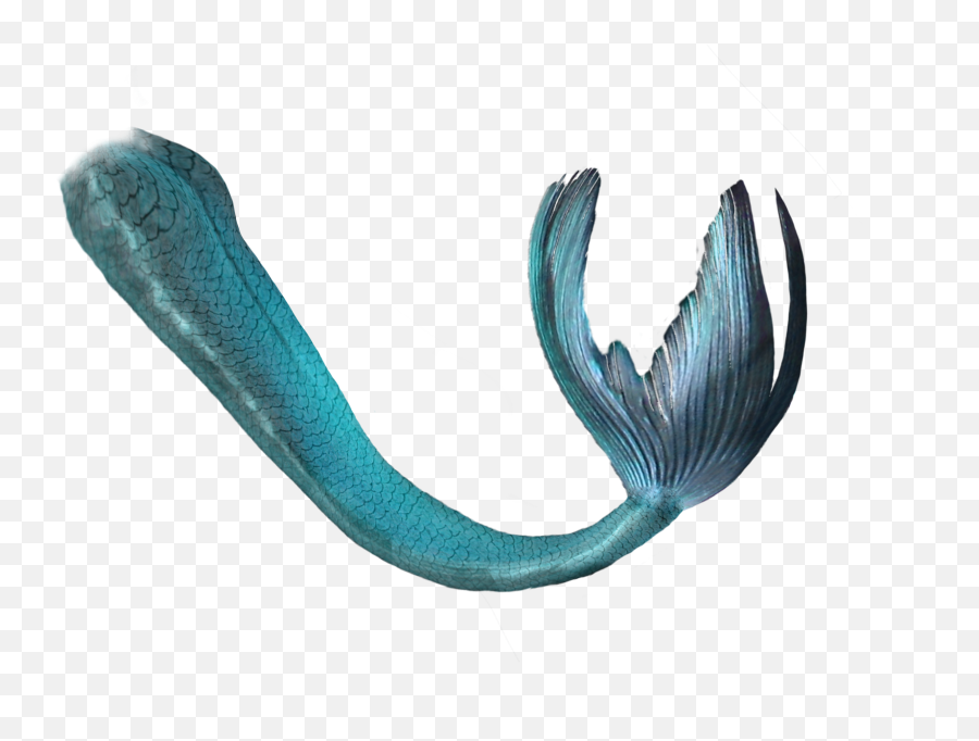 Decorative Blue Mermaid Tail Png - Mermaid Tail Transparent Png,Tail Png