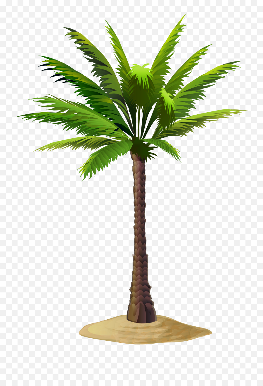 Free Png Clip Art Image Gallery Yopriceville - Date Tree Palm Trees,Dates Png