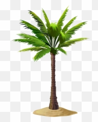 Free Png Clip Art Image Gallery Yopriceville - Date Tree Palm Trees,Dates Png