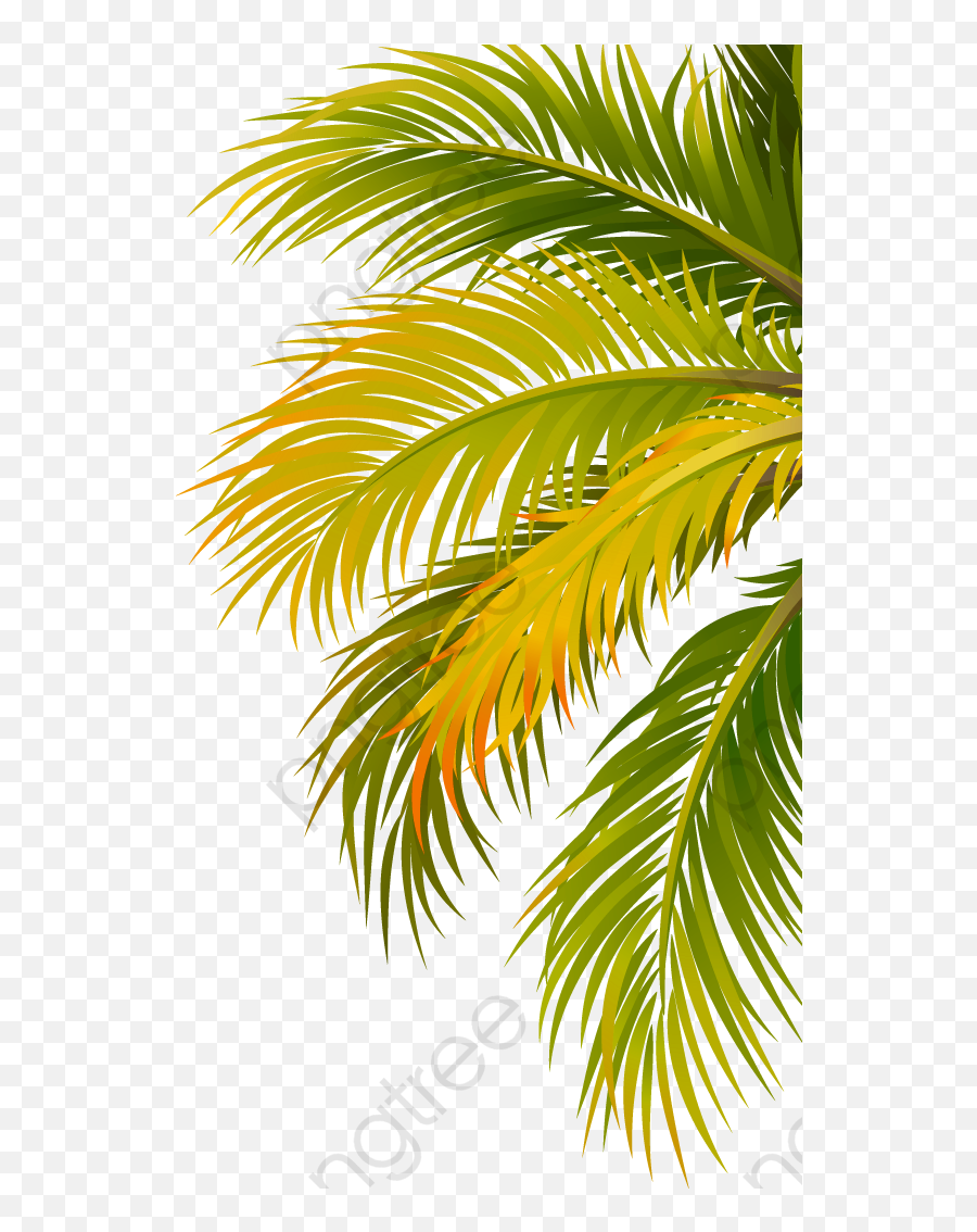 Style Image By Thapa Lshiva Palm Trees Painting - Leaf Palm Tree Png,Palm Leaves Png