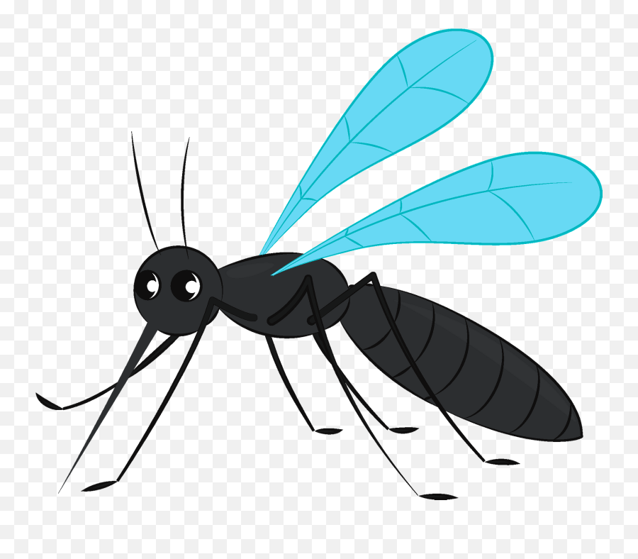 Mosquito Clipart Free Download Transparent Png Creazilla - Mosquito Clipart,Insect Png