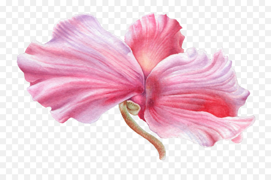 Hand Painted Wooden Hibiscus Flower Png - Hawaiian Hibiscus,Hibiscus Flower Png