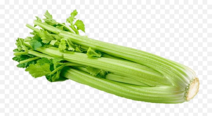 Celery Transparent Png - Celery Transparent Png,Celery Png