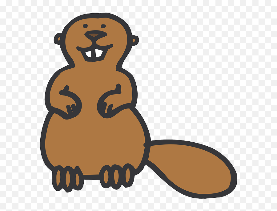 Beaver Png - Simple Beaver Clipart,Beaver Png