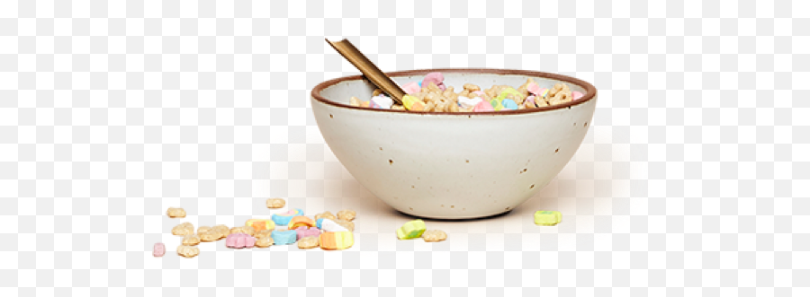 Soup Bowl - Breakfast Cereal Png,Bowl Of Cereal Png