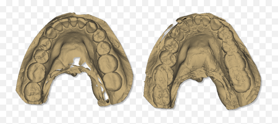 Filemaestro3deasydentalscan Calibrationlowerarch - Arch Png,Arch Png